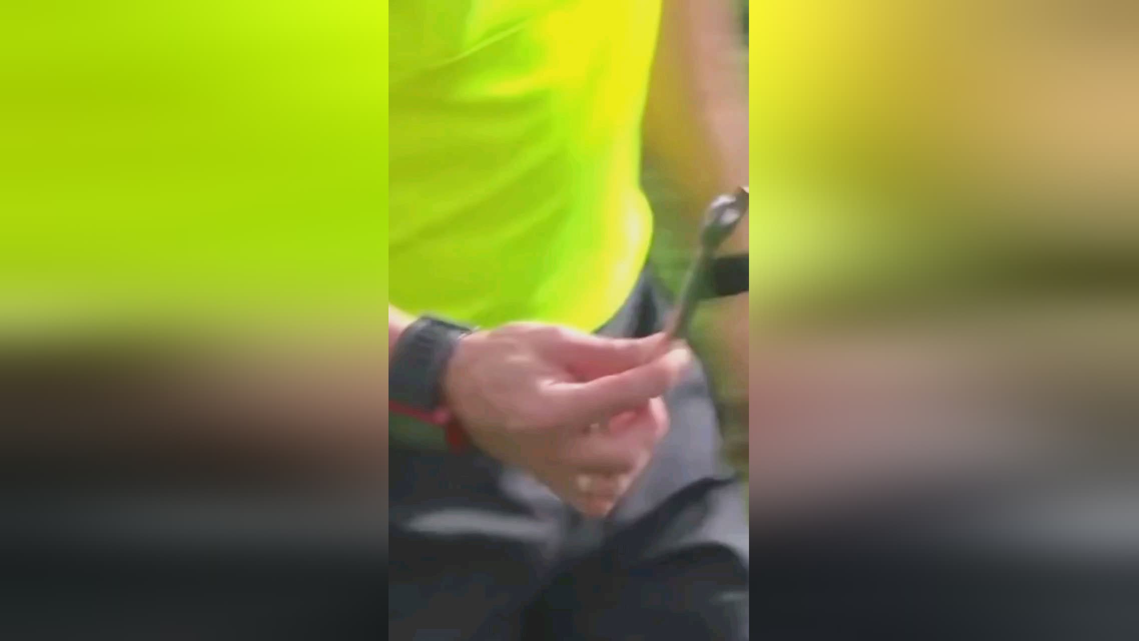 药检