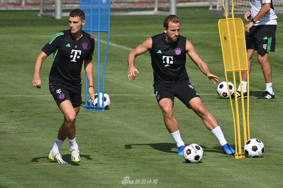 了广泛讨论 了广泛讨论