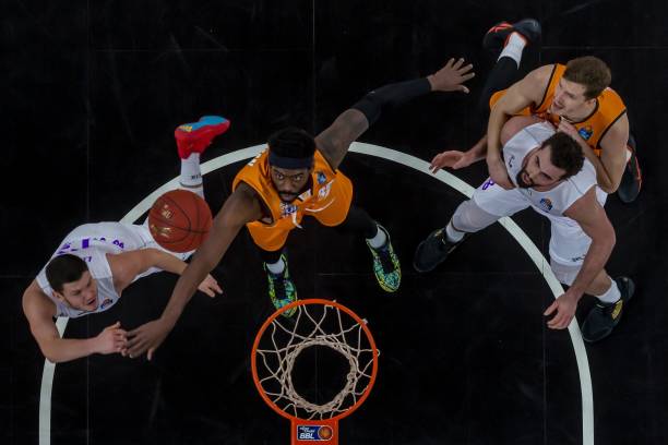 这不仅展示 这不仅展示